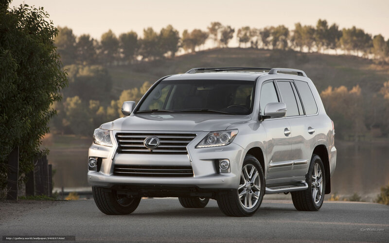 Silver Lexus Suv — Serene, Sunset, Photograph, Trees, Road