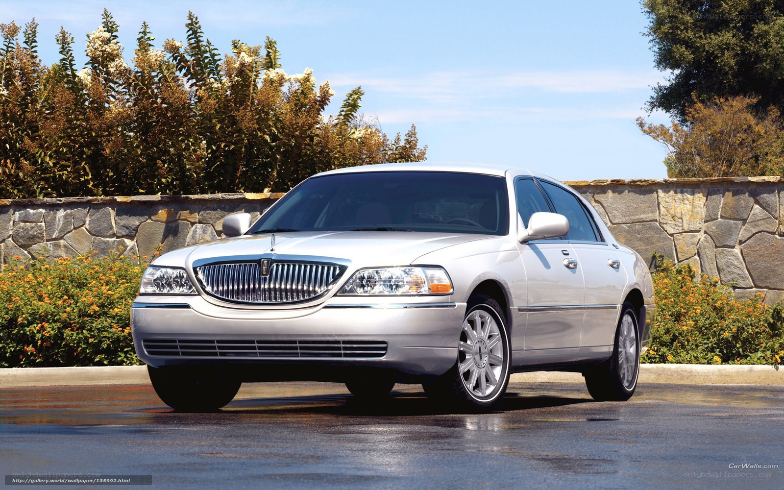 silver lincoln town car