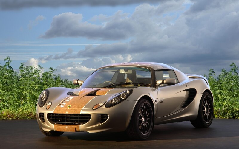 Silver Lotus Elise sports car