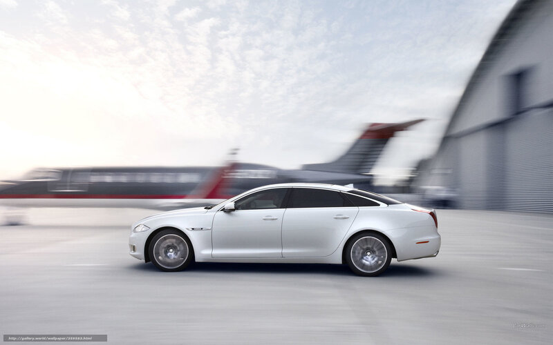 Silver Luxury Sedan — White, Dynamic