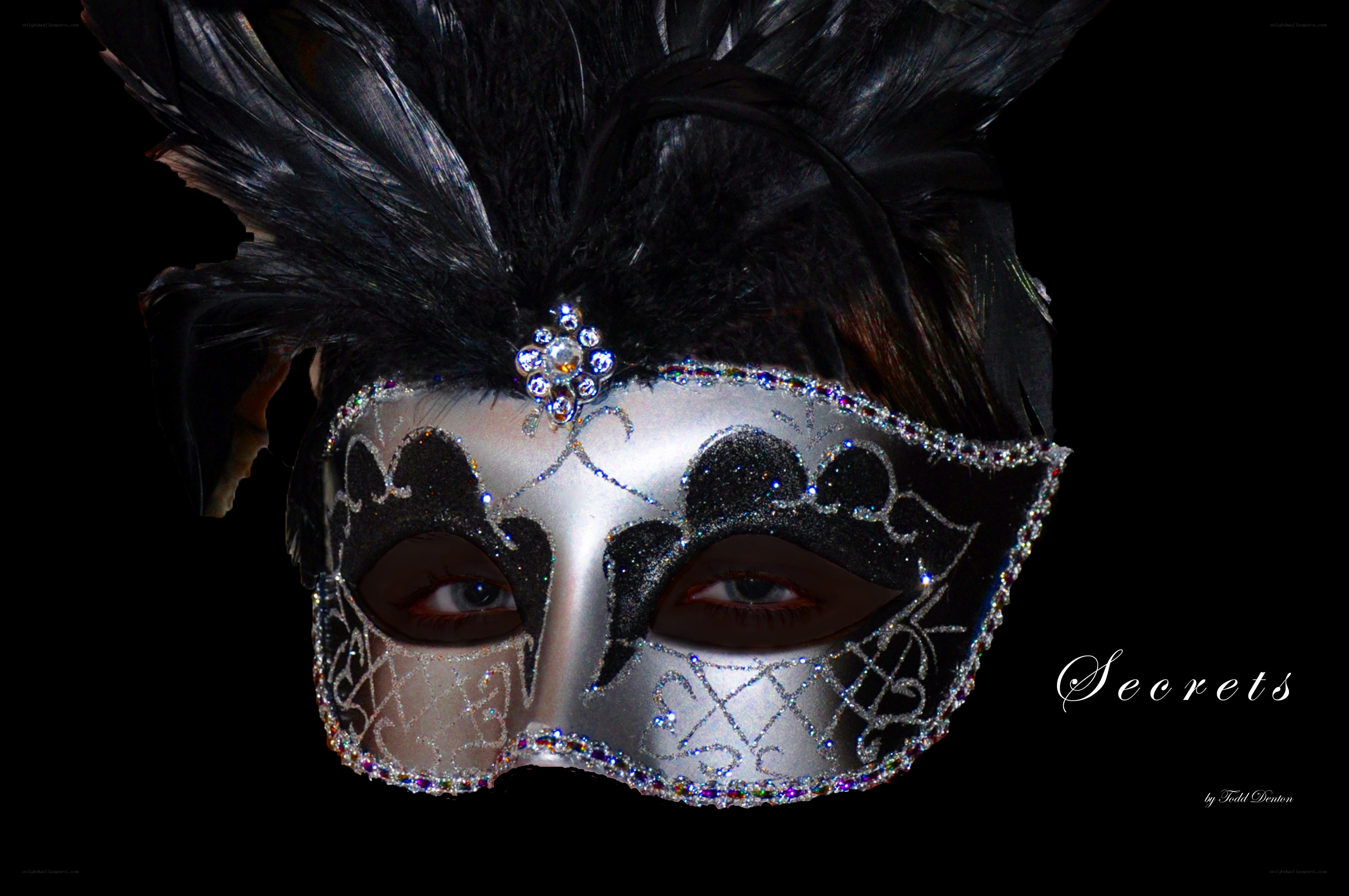 silver mask with black feathers