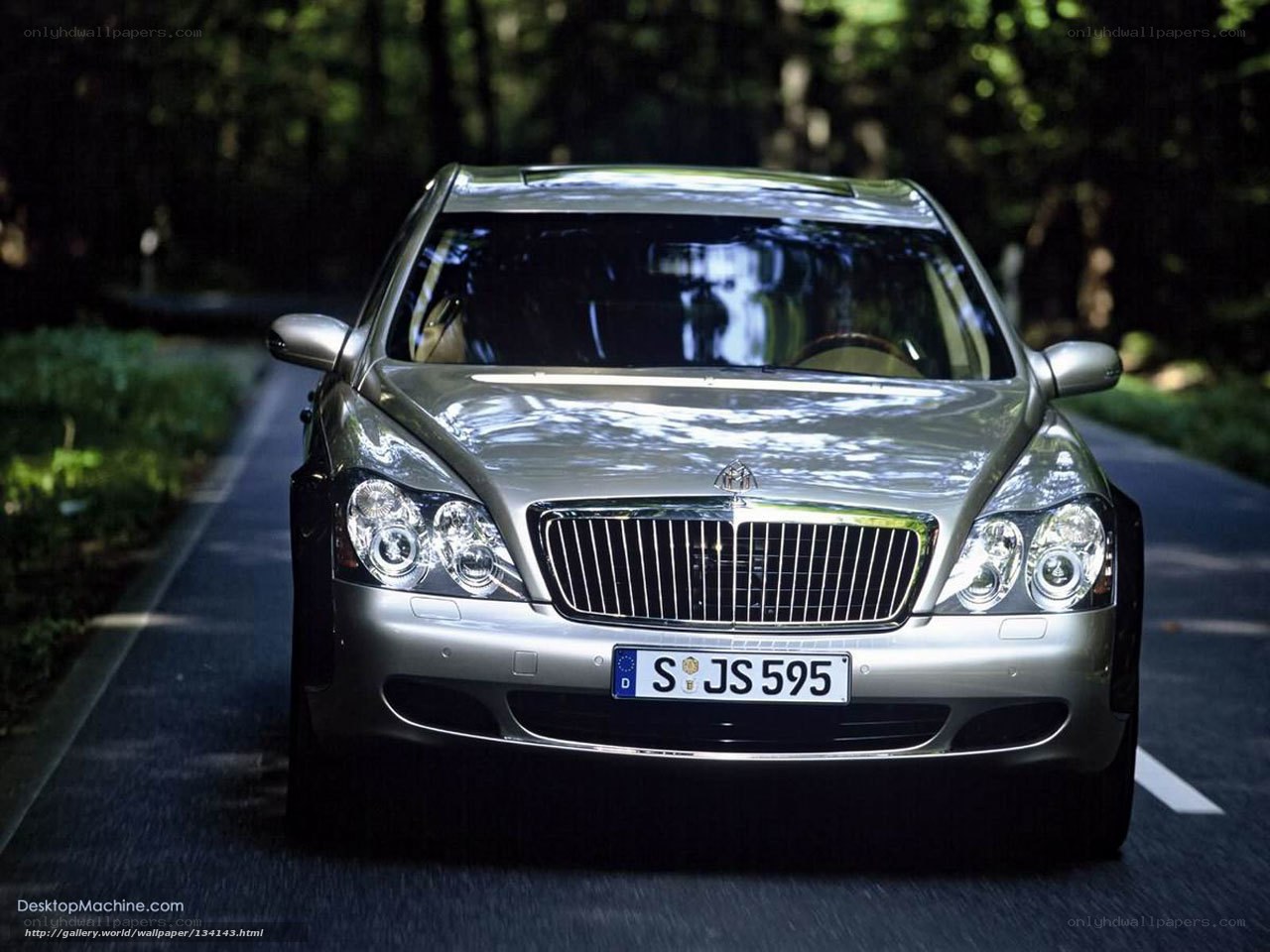 Silver Maybach on a forest road