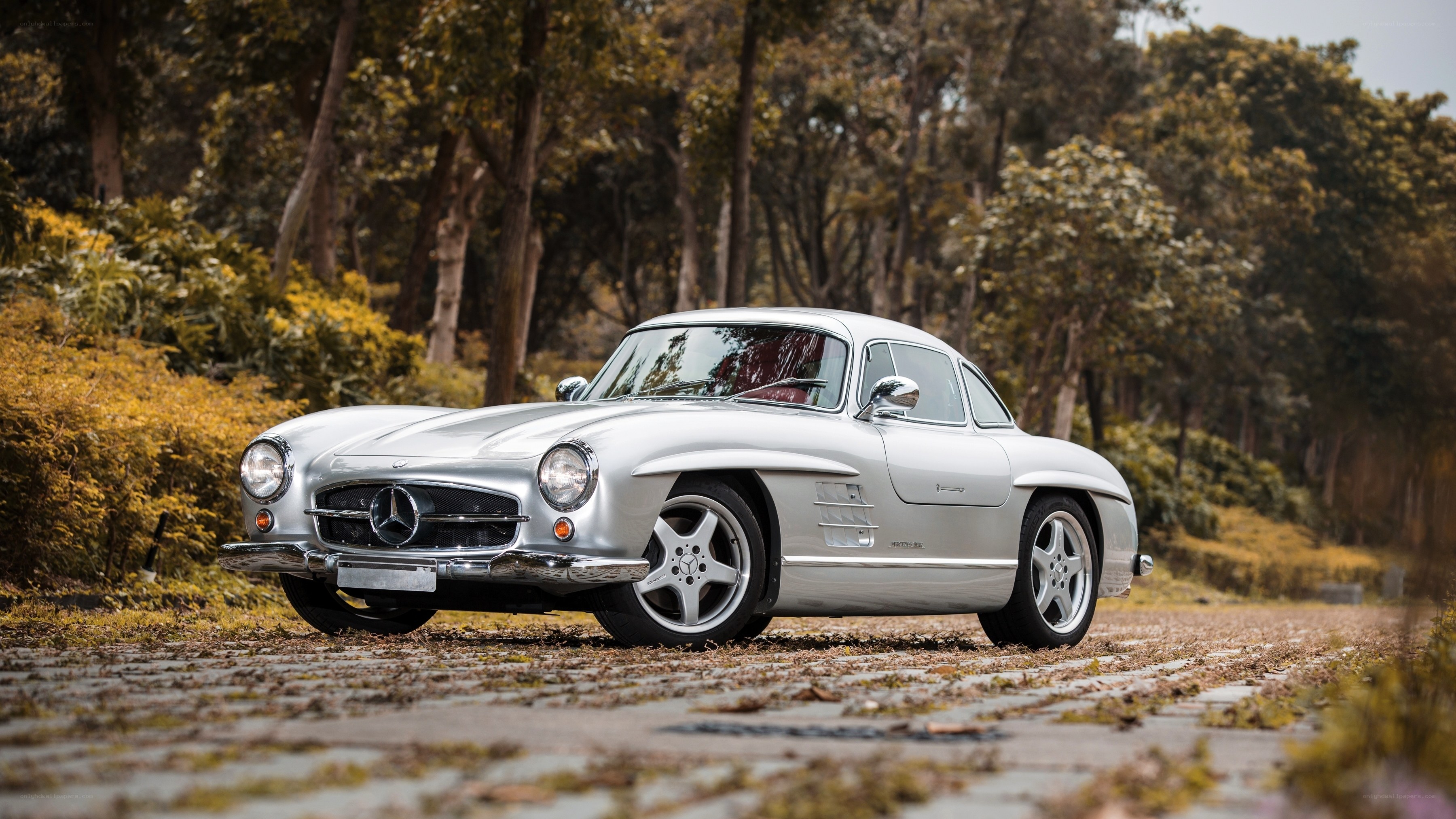 Silver Mercedes-Benz 300SL