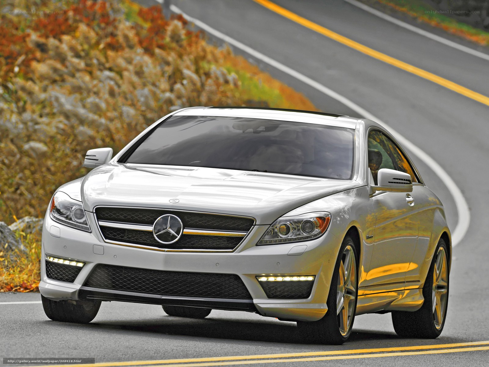 Silver Mercedes-Benz CL63 AMG
