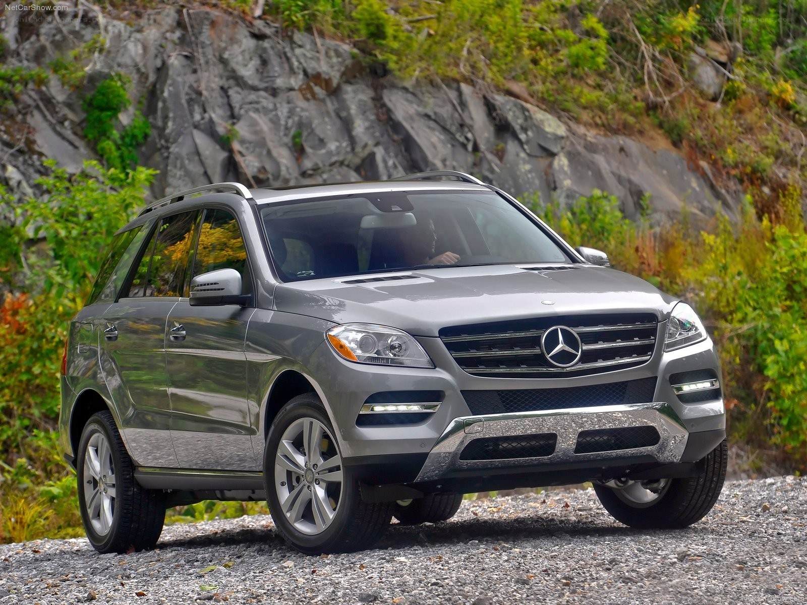 Silver Mercedes-Benz ML350