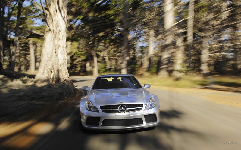 silver mercedes-benz on forest road