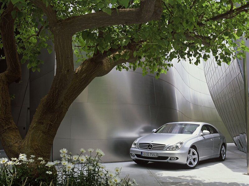 Silver Mercedes-Benz parked under a tree