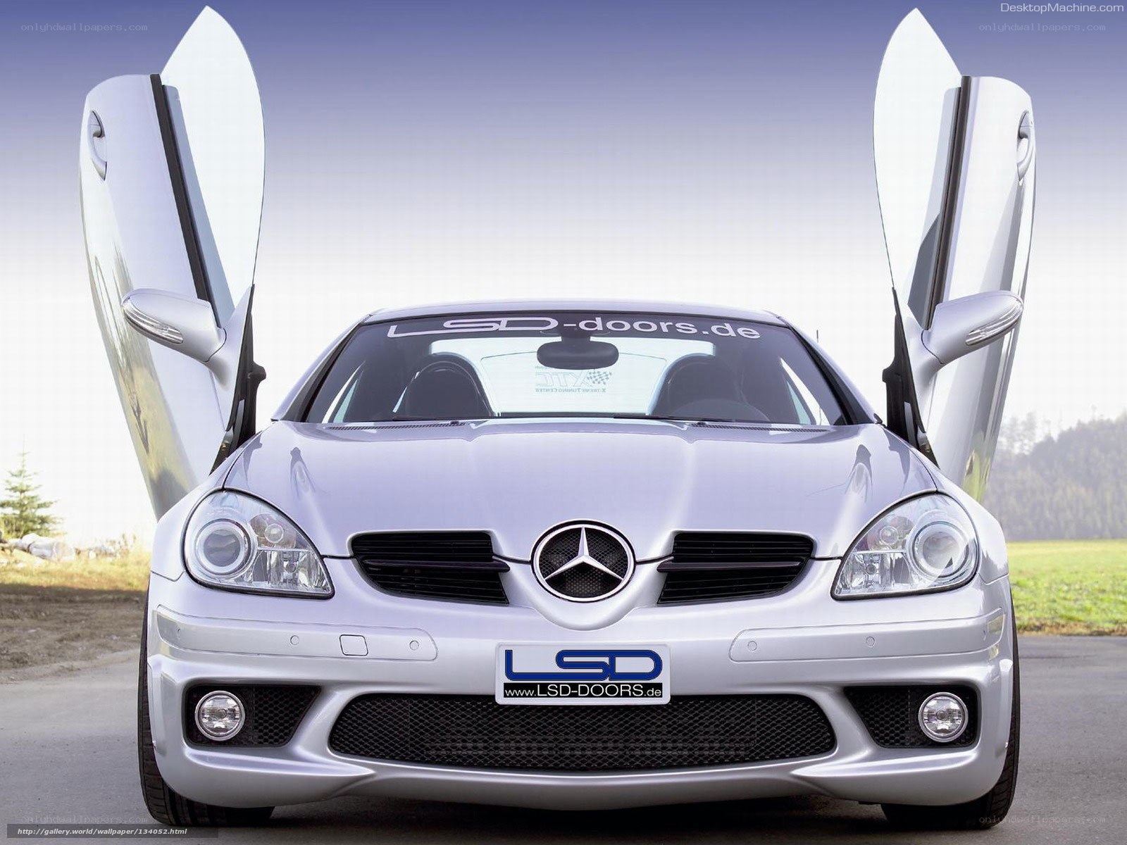 Silver Mercedes-Benz with gullwing doors