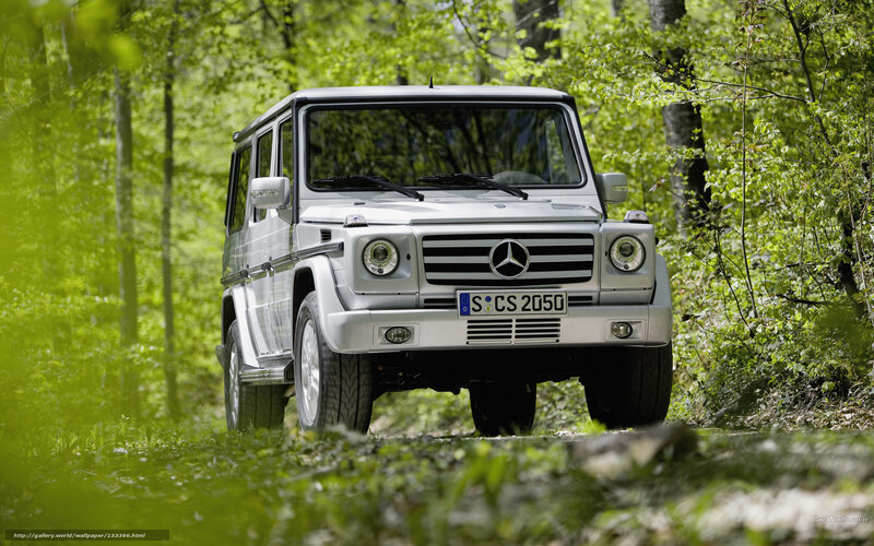 Silver Mercedes G-Class in forest