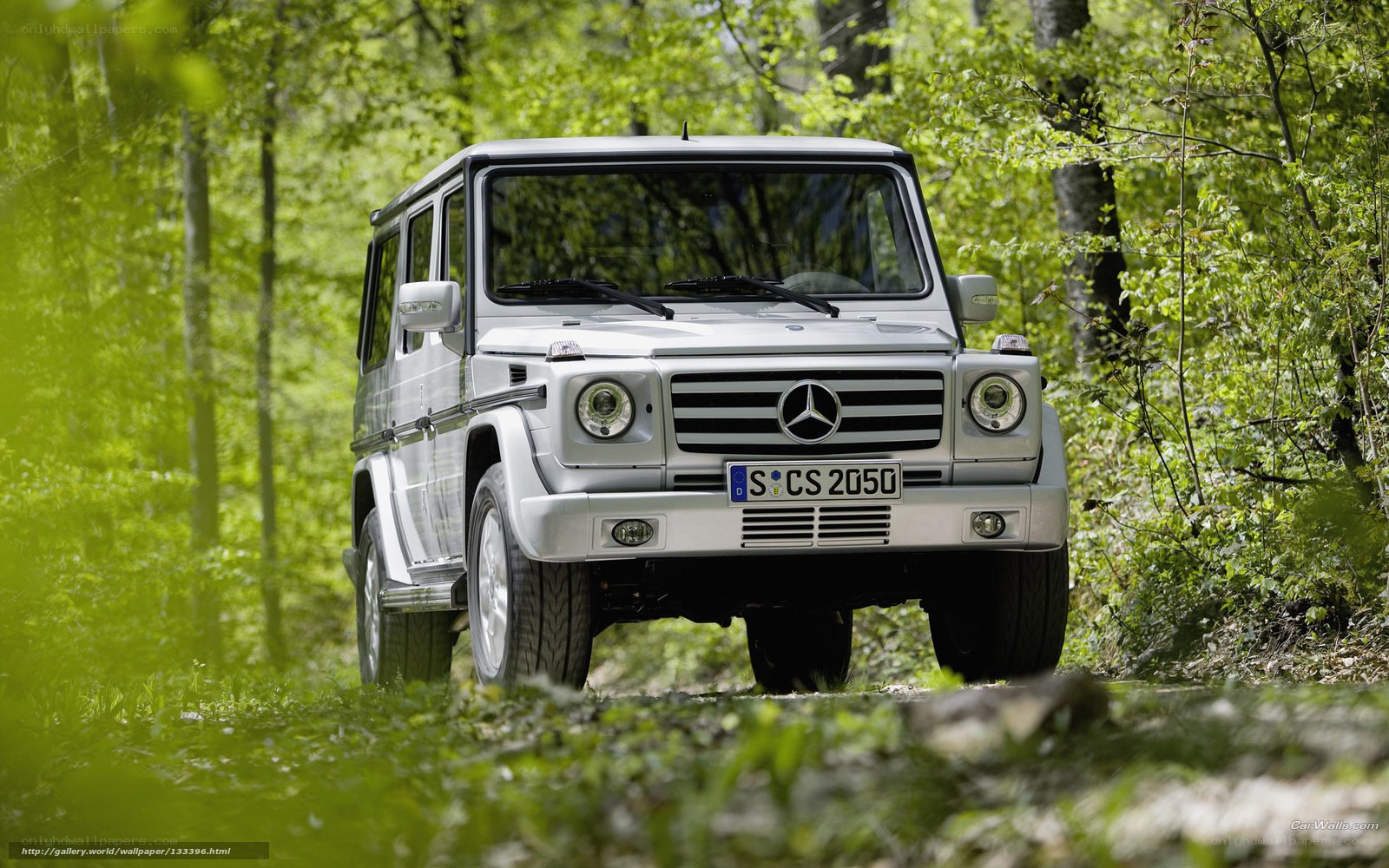 Silver Mercedes G-Class in forest