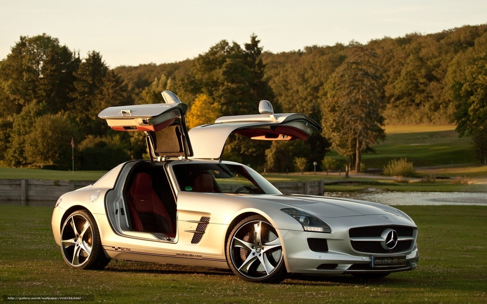 Silver Mercedes SLS AMG on a golf course