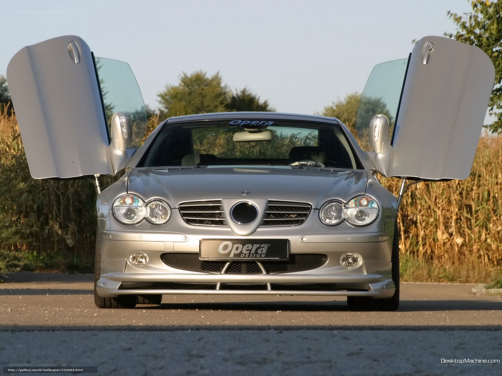silver mercedes with doors open