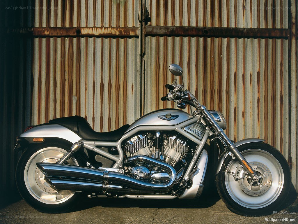 silver motorcycle against rusted wall