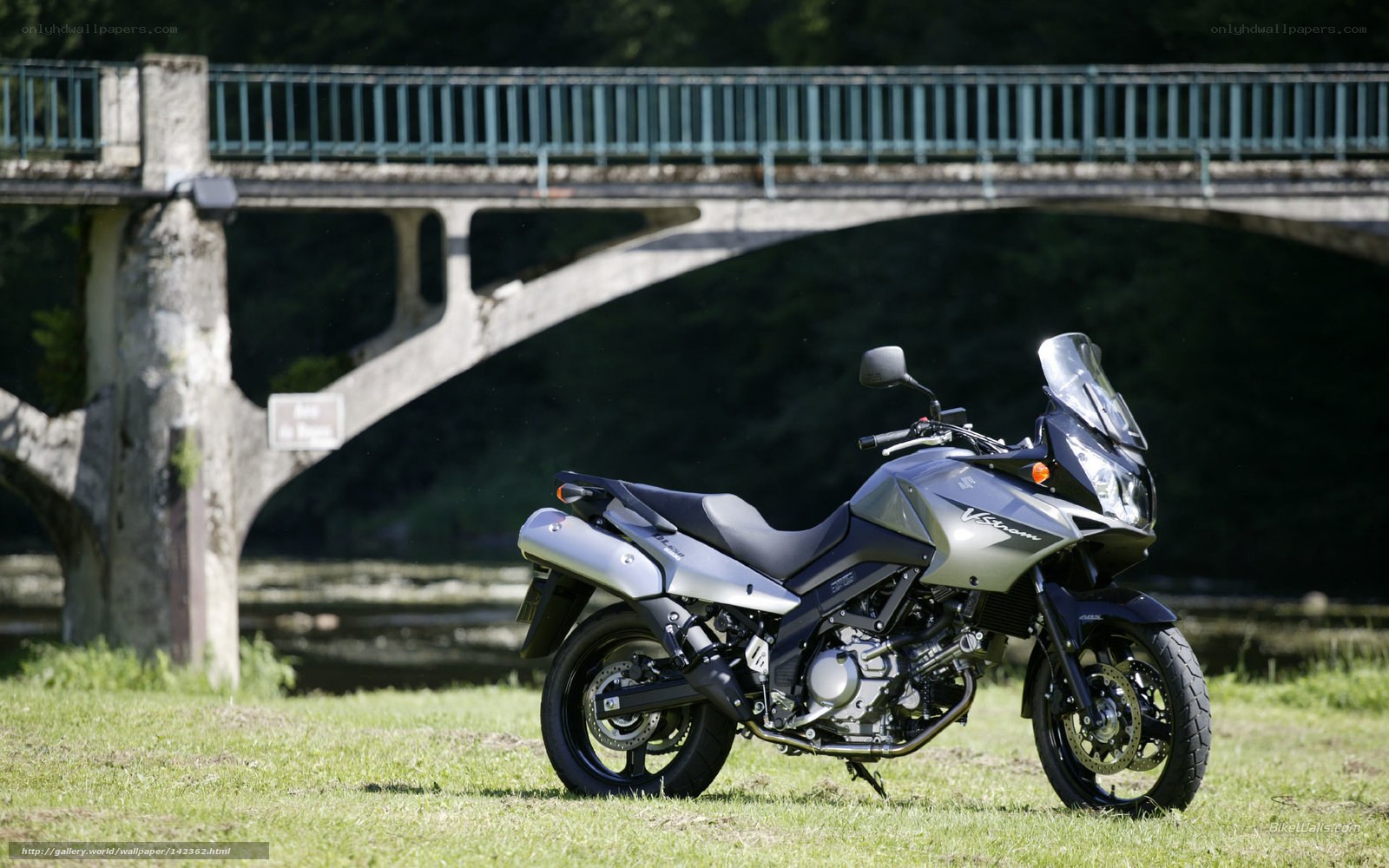 Silver motorcycle on grass by bridge
