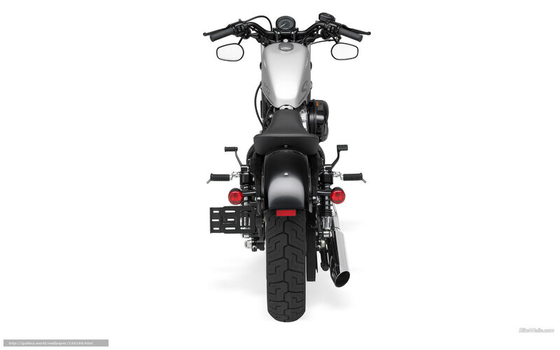 Silver Motorcycle Rear View — Black