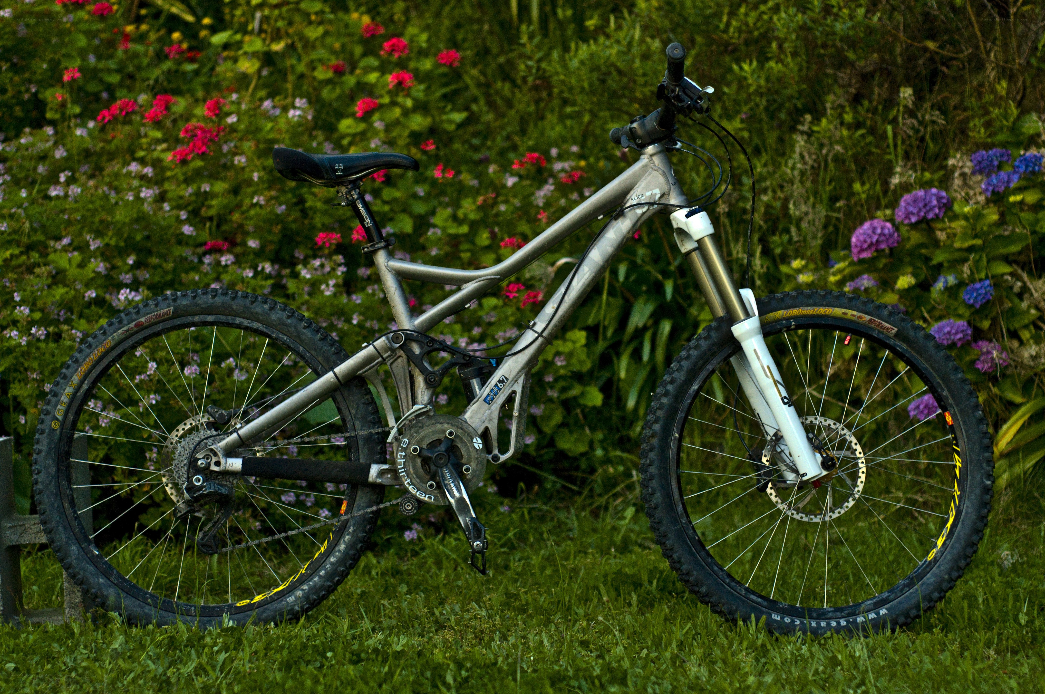 silver mountain bike in garden