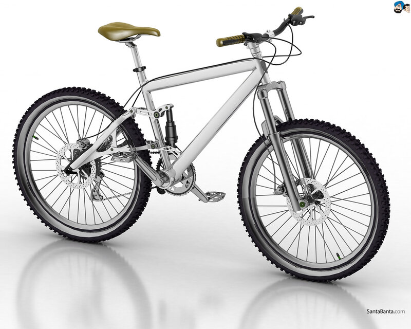 Silver Mountain Bike — White