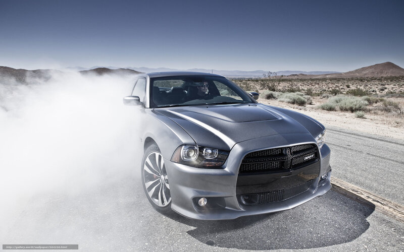 Silver Muscle Car — Gray, Dramatic, Afternoon, Photograph, Driver