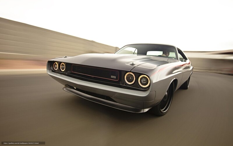 Silver Muscle Car — Gray, Dynamic, Afternoon, Photograph, Driver