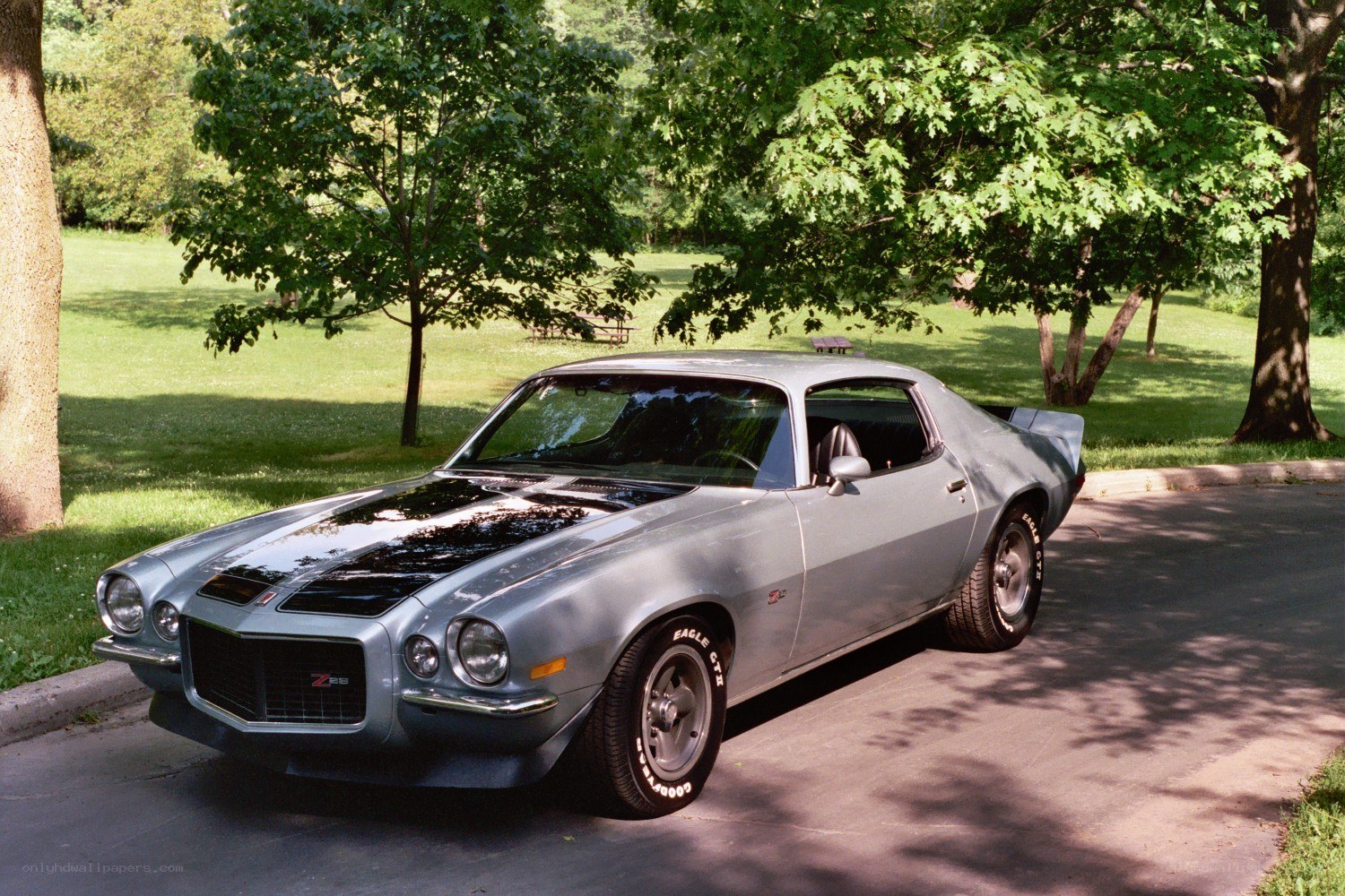 Silver muscle car in park