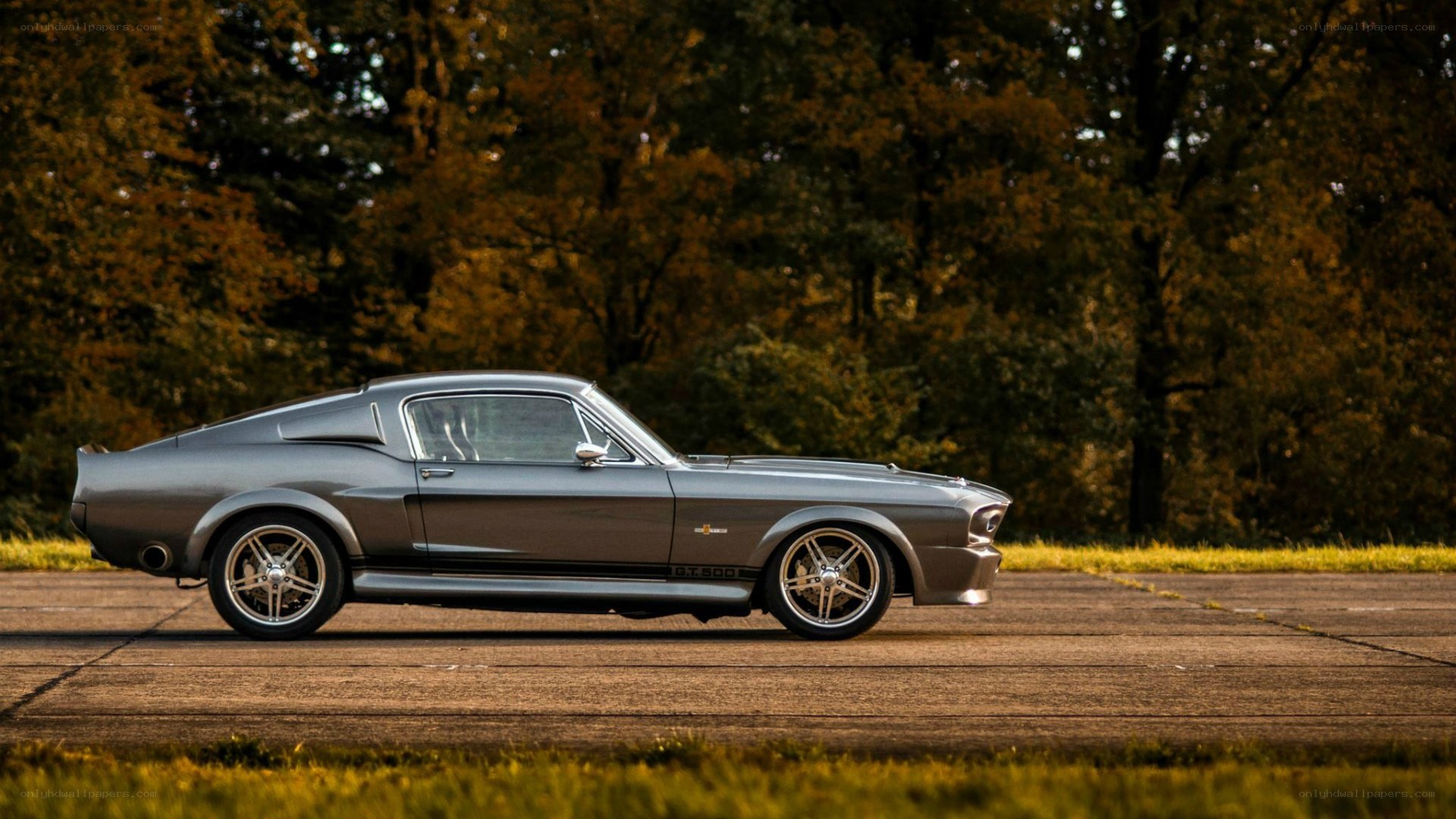 silver muscle car on pavement