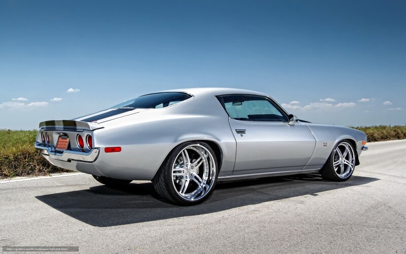 silver muscle car on road