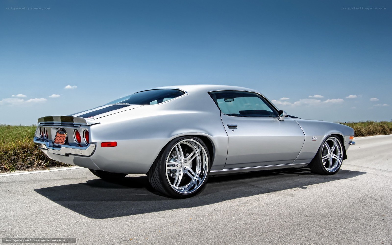silver muscle car on road