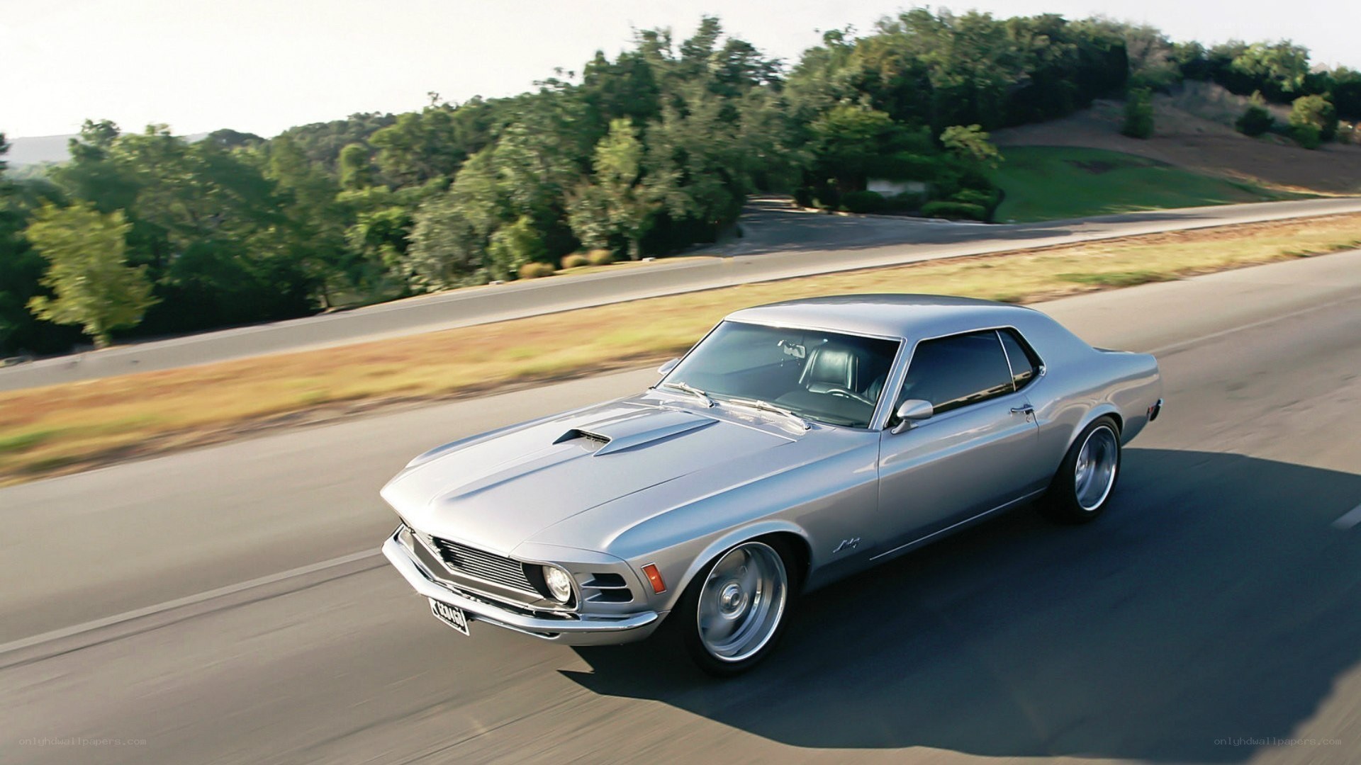 silver muscle car on road