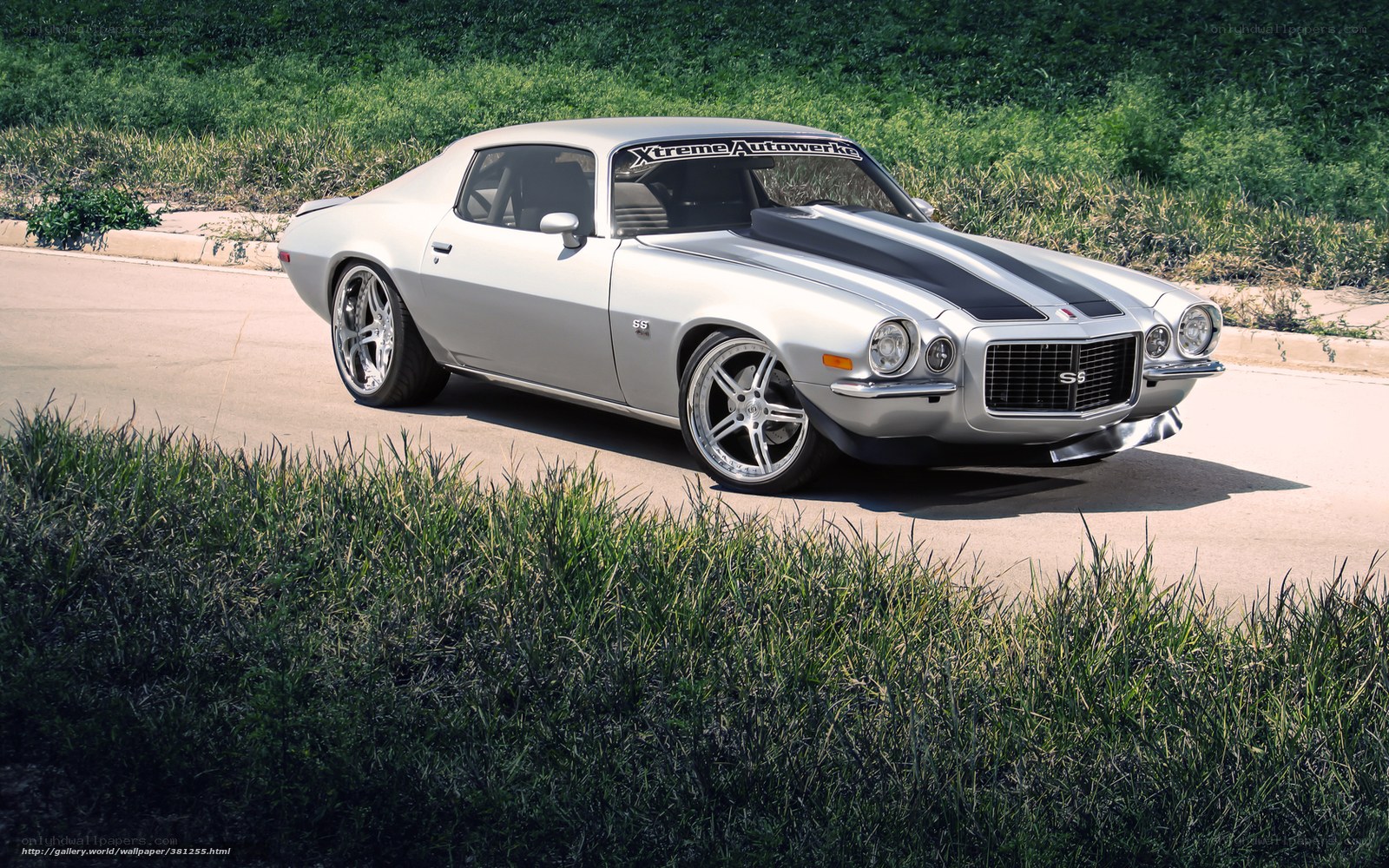 Silver muscle car on road