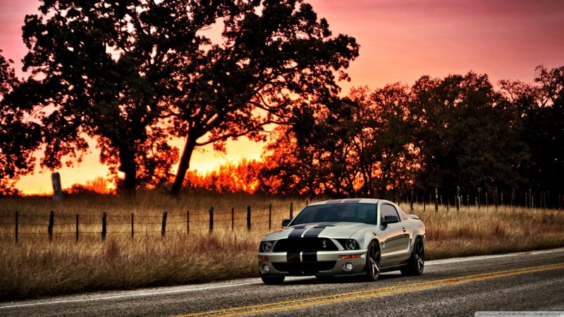 Silver Muscle Car — Orange