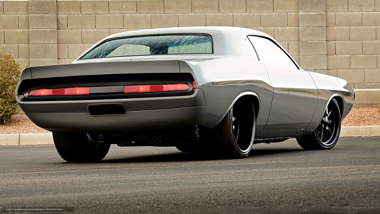 silver muscle car rear view