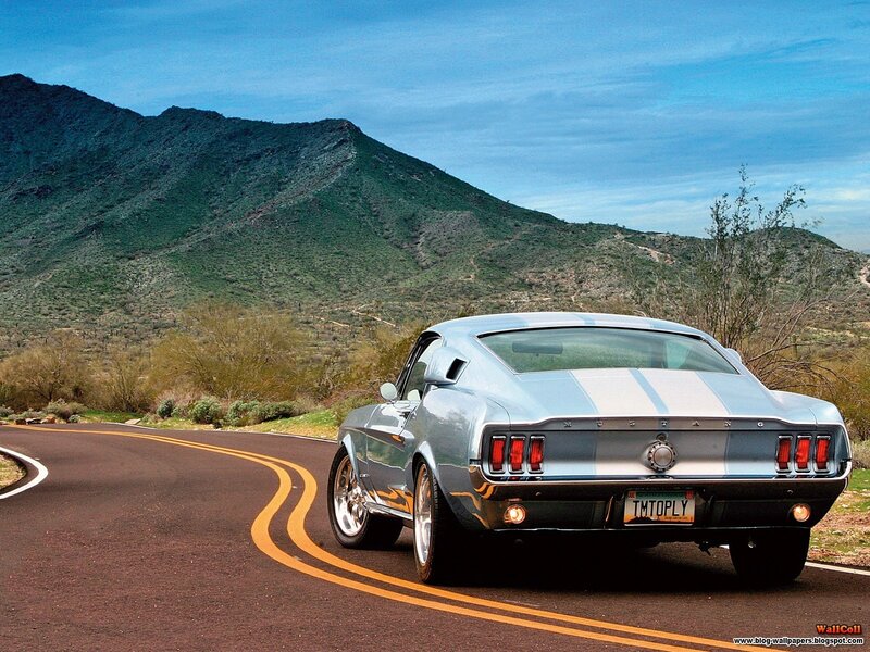 Silver Muscle Car — Serene, Afternoon, Photograph, Mountain