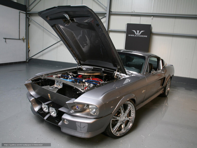 silver muscle car with open hood