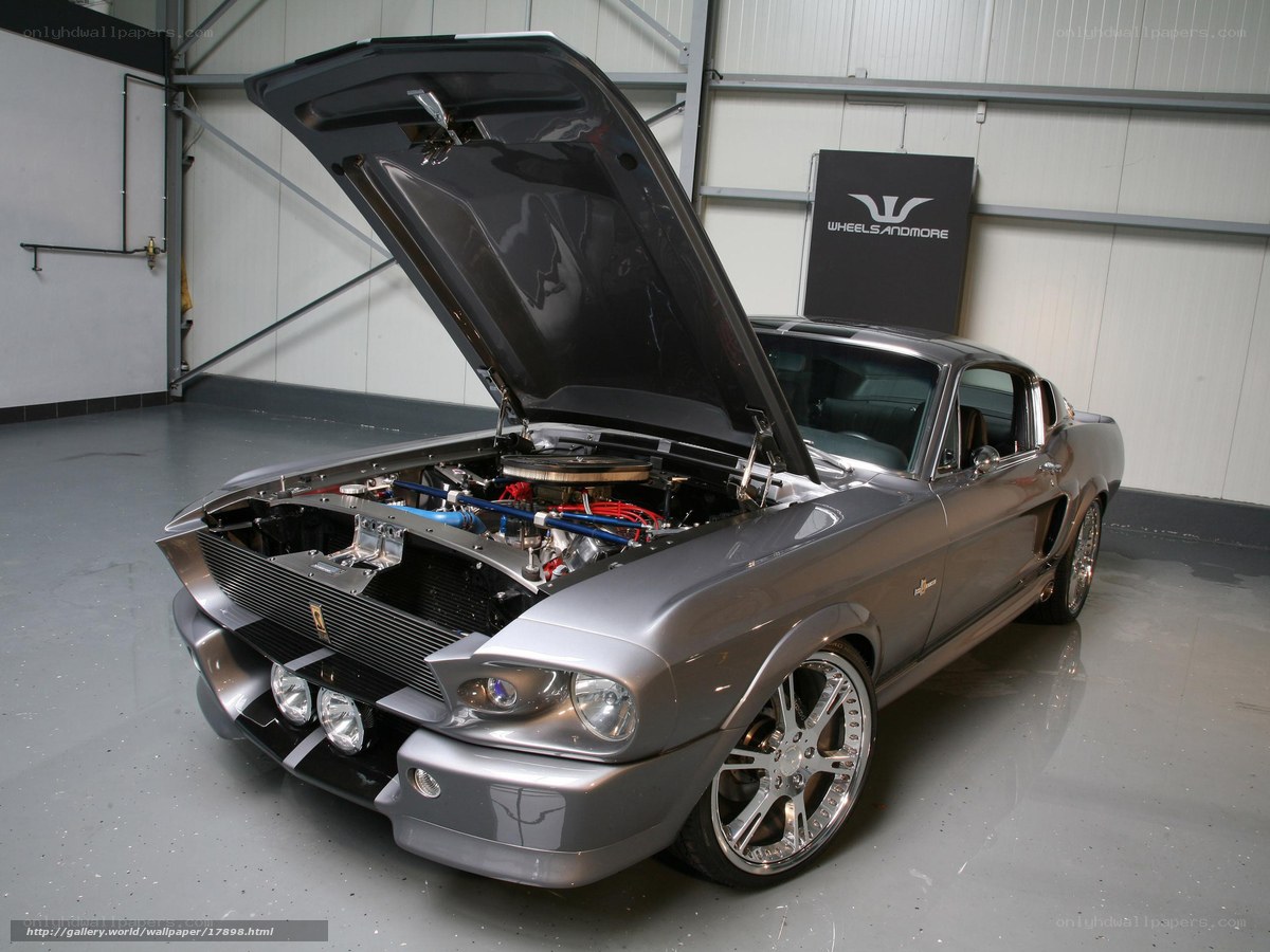 silver muscle car with open hood