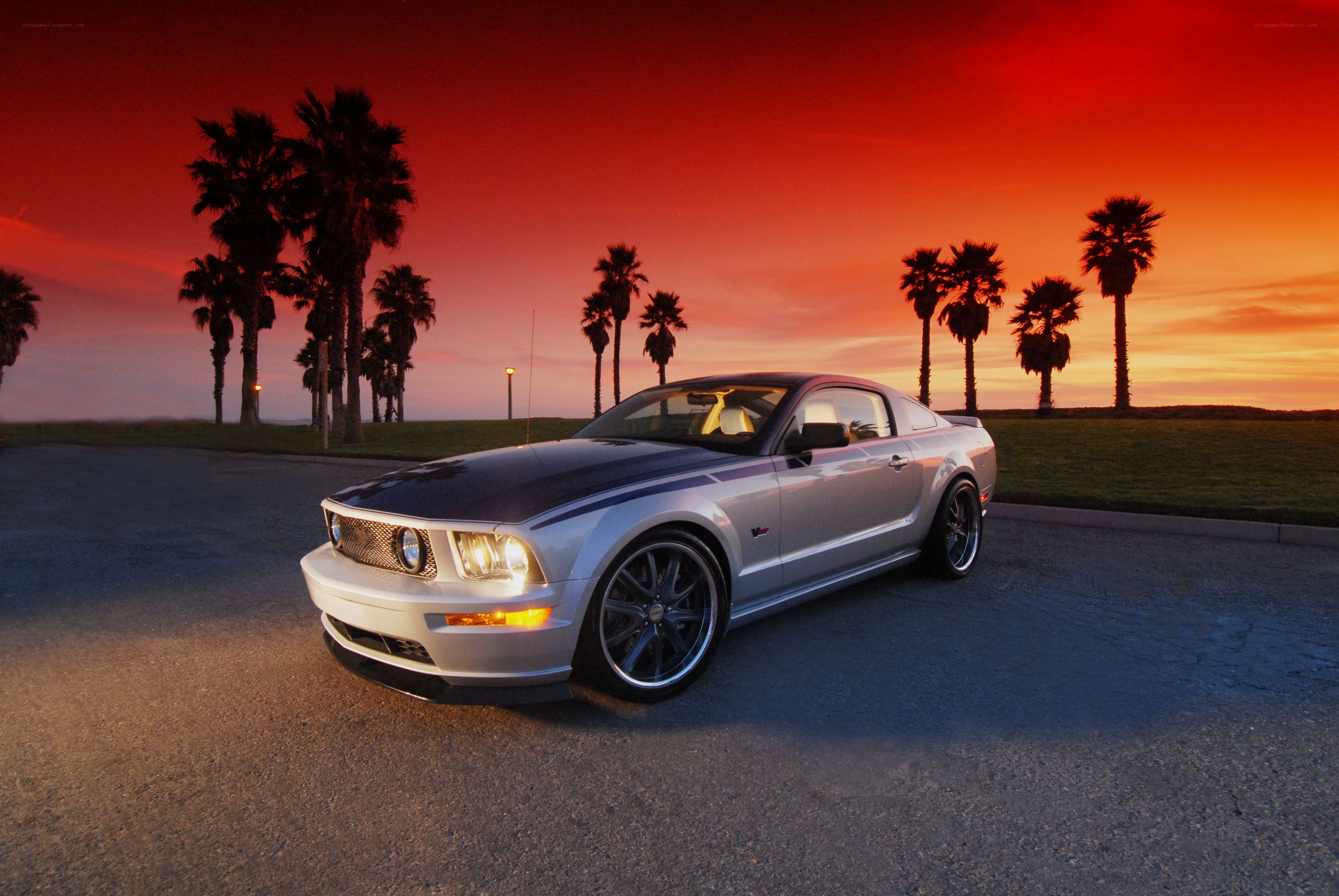 Silver Mustang at sunset