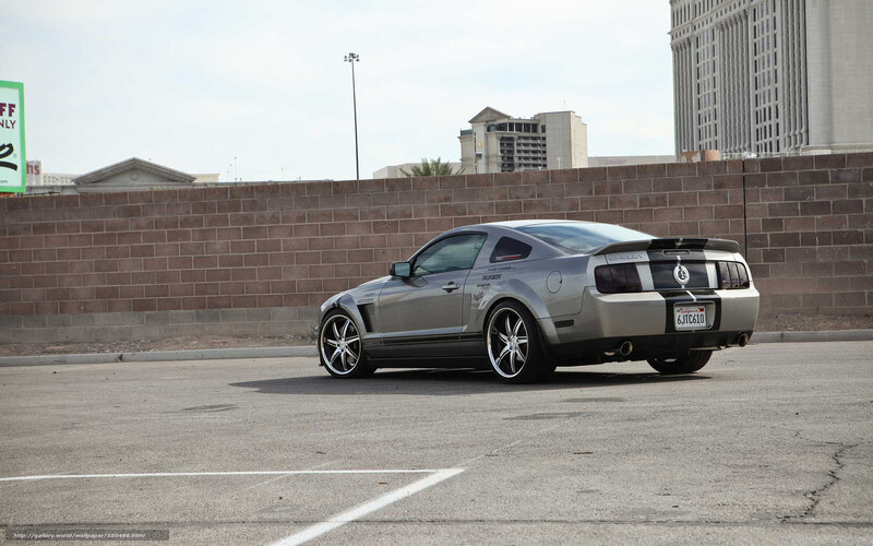 Silver Mustang Car — Gray, Calm, Afternoon