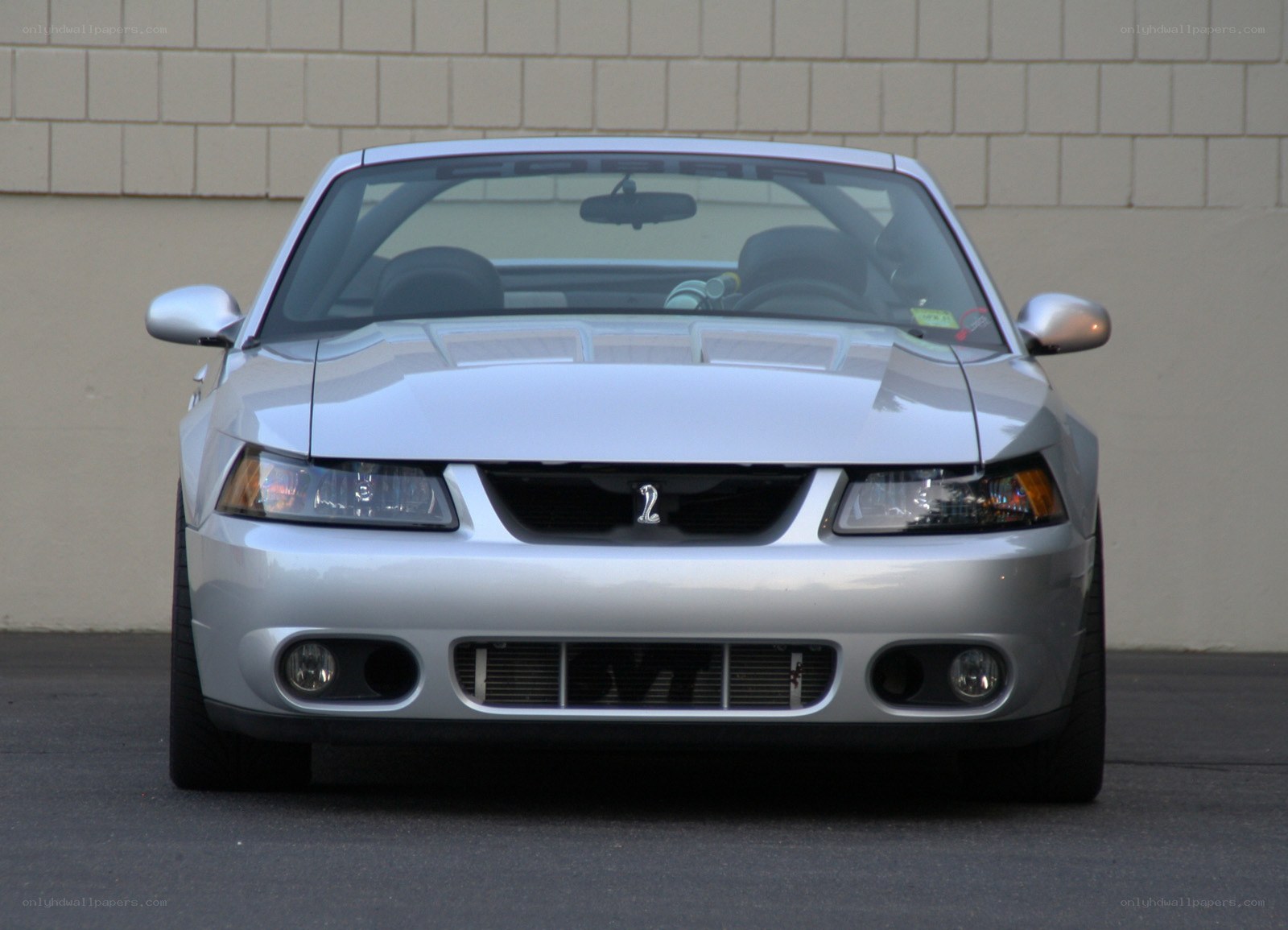 silver mustang cobra car