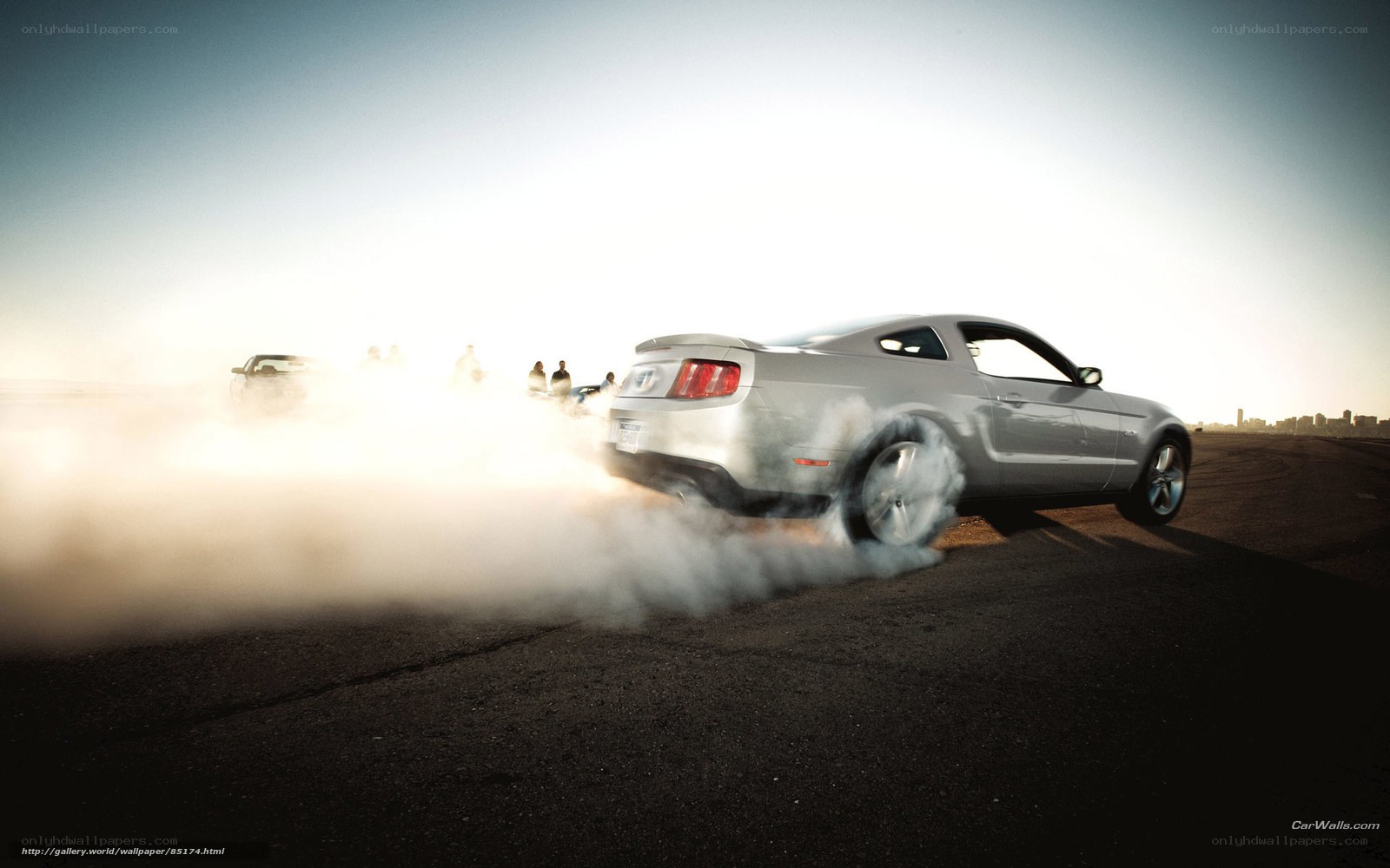 Silver Mustang doing a burnout