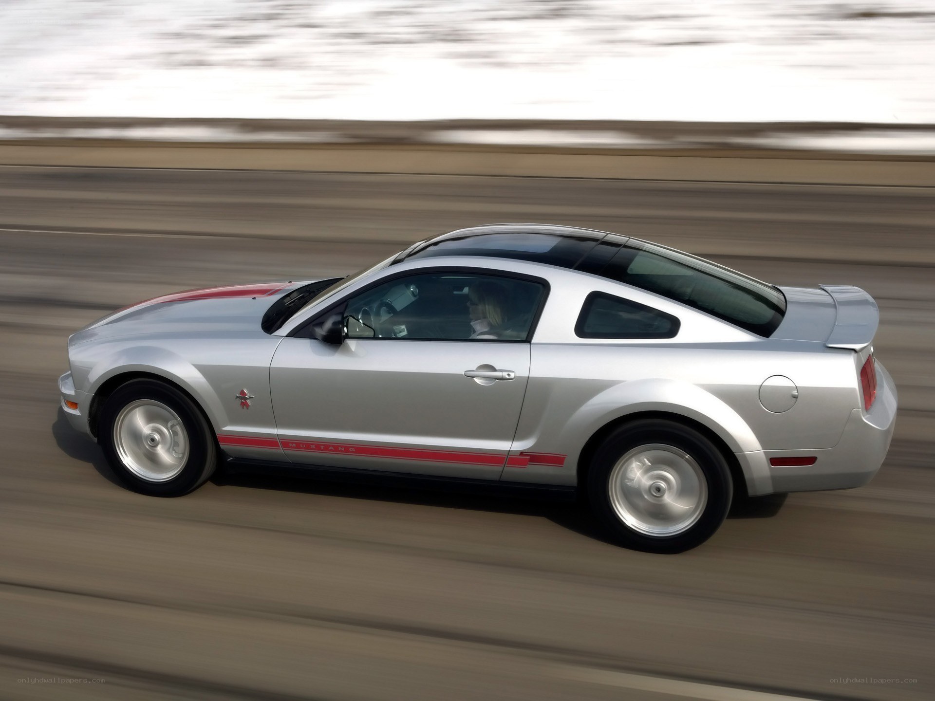 silver mustang in motion
