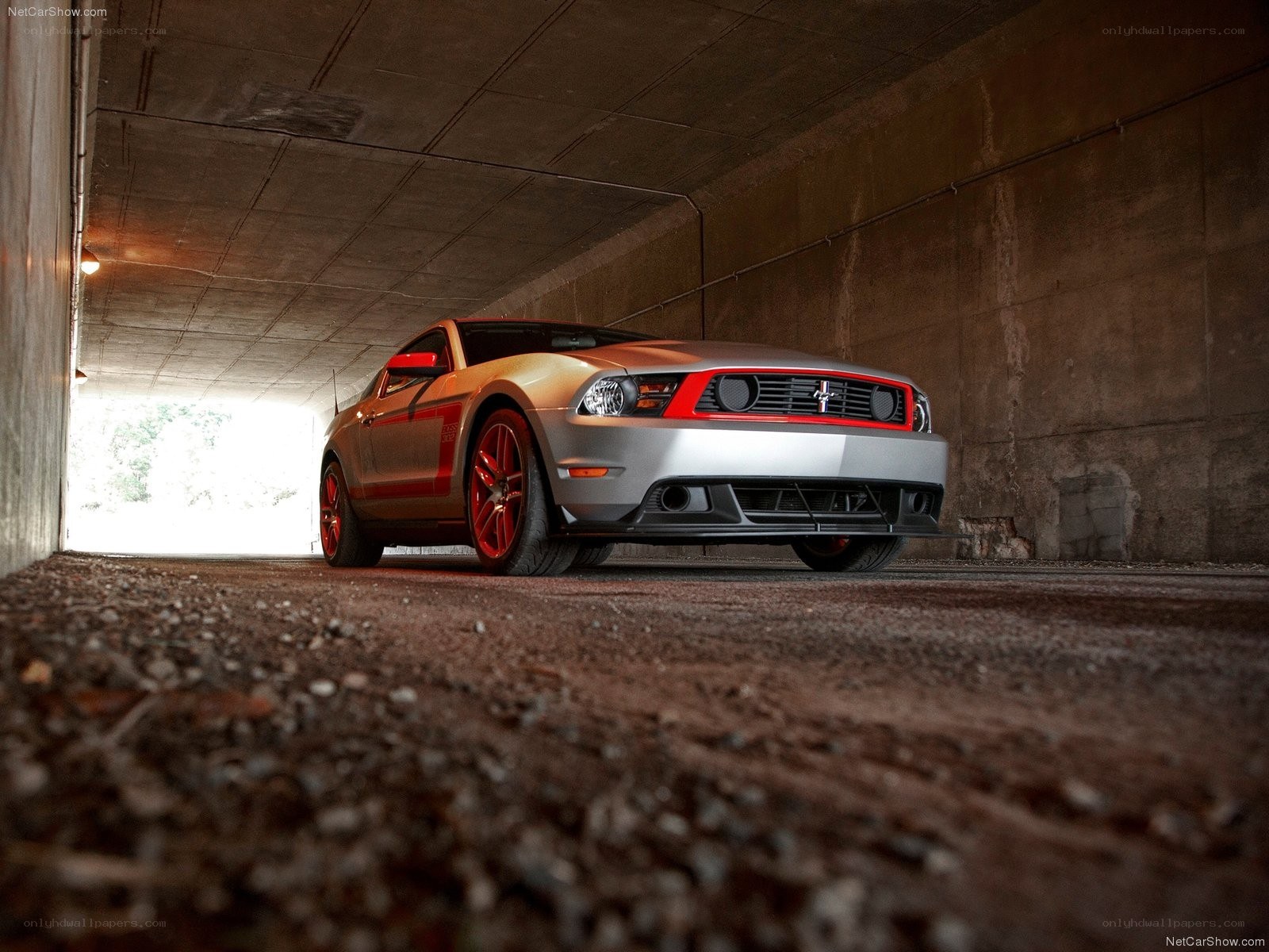 silver mustang in tunnel
