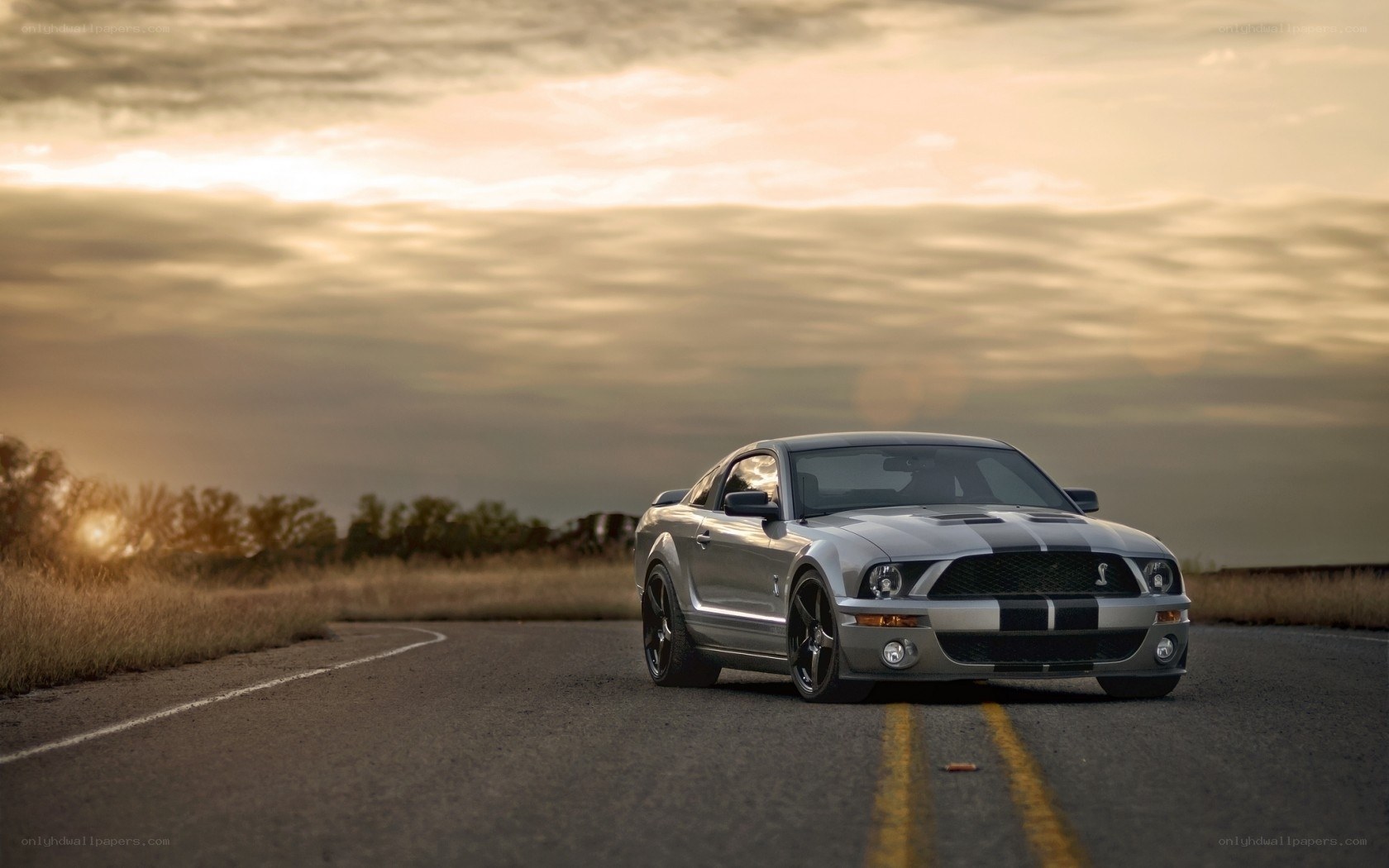 Silver Mustang on a country road