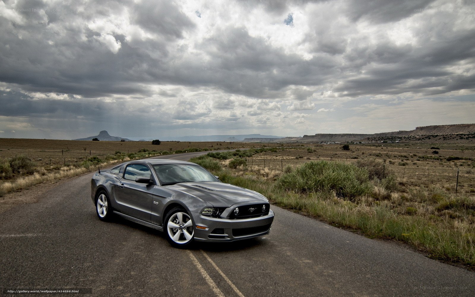 Silver Mustang on a desert road
