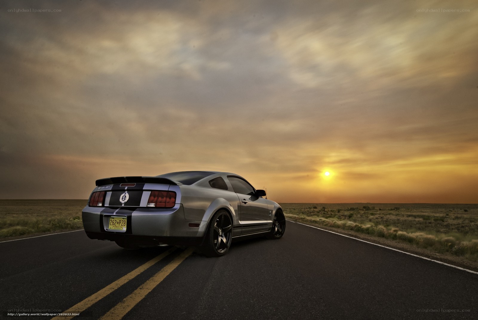 Silver Mustang on a desert road