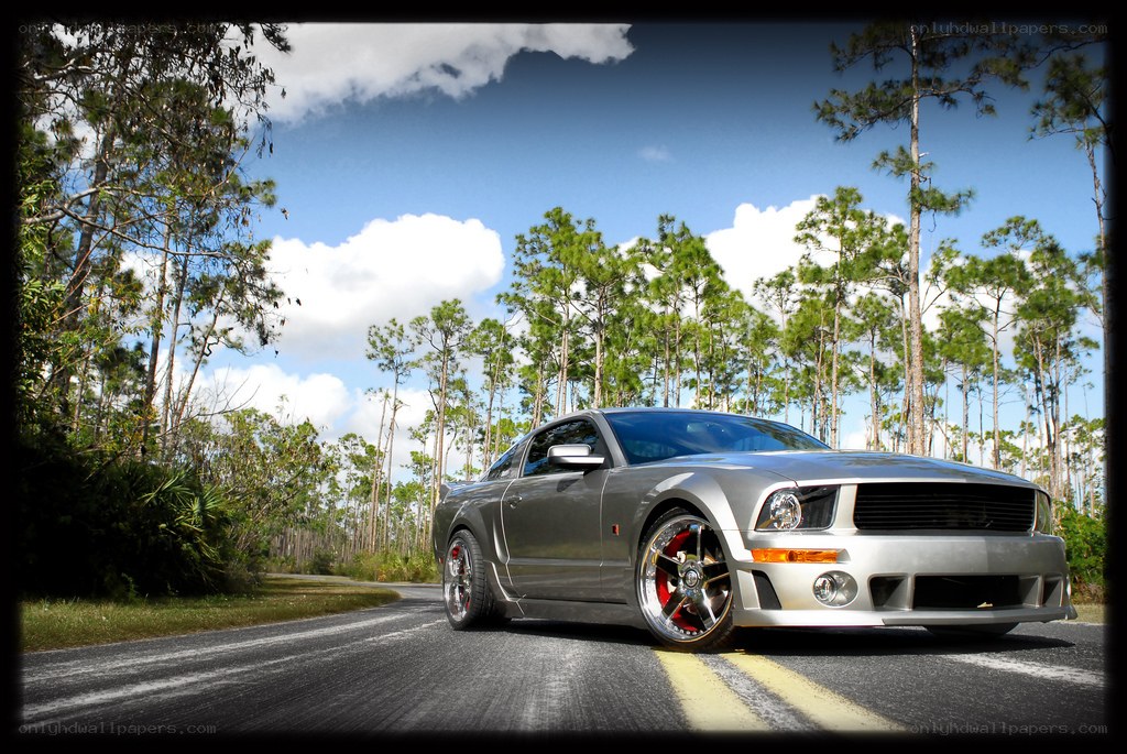 Silver Mustang on a forest road