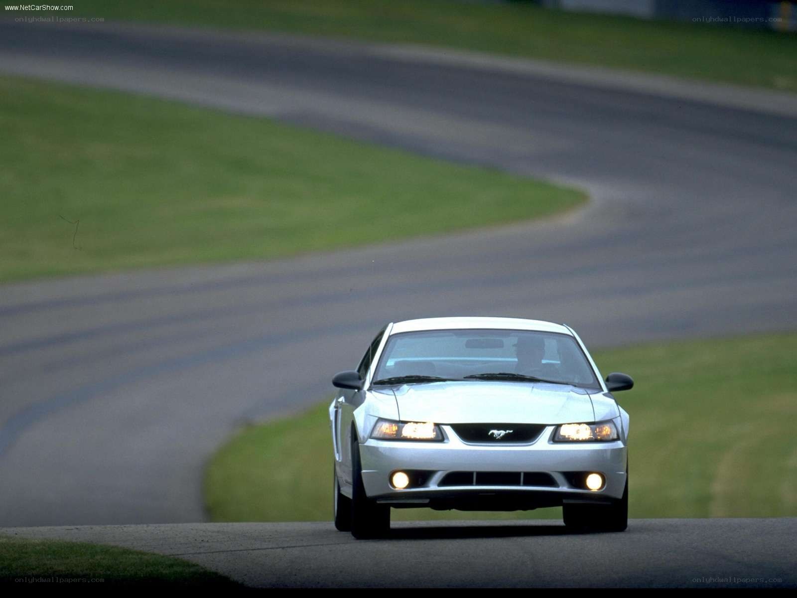 Silver Mustang on a racetrack