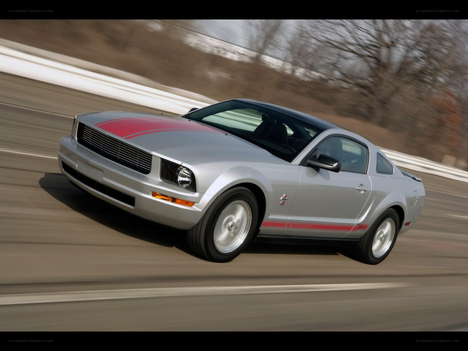 silver mustang on a road