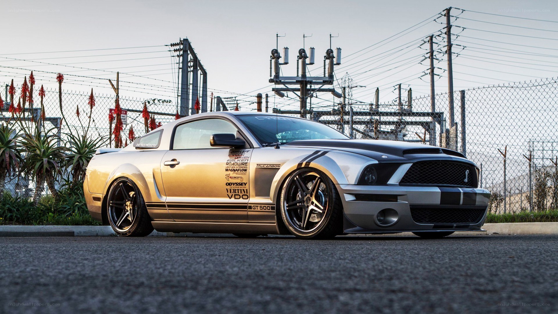 silver mustang on asphalt