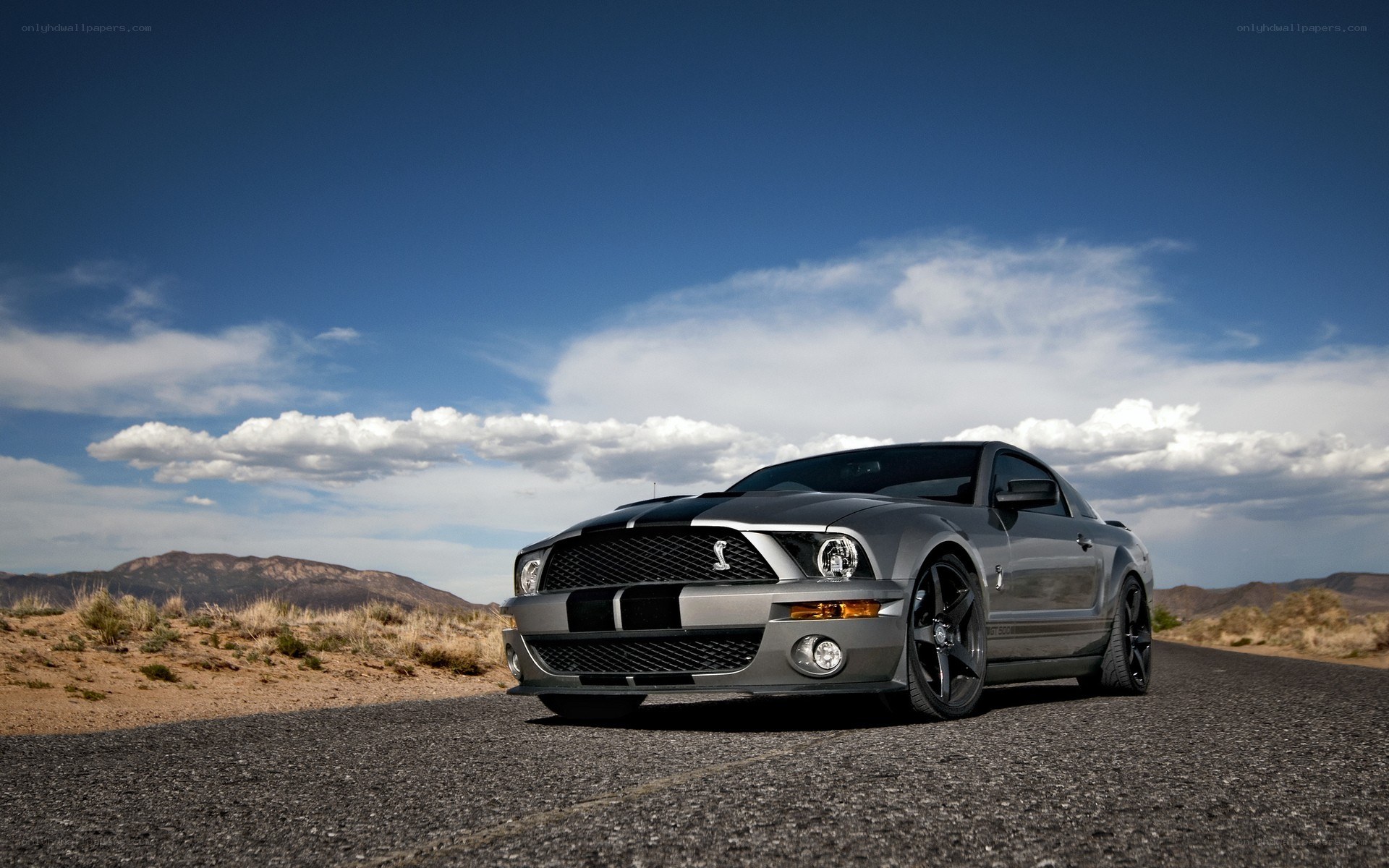 Silver Mustang on desert road