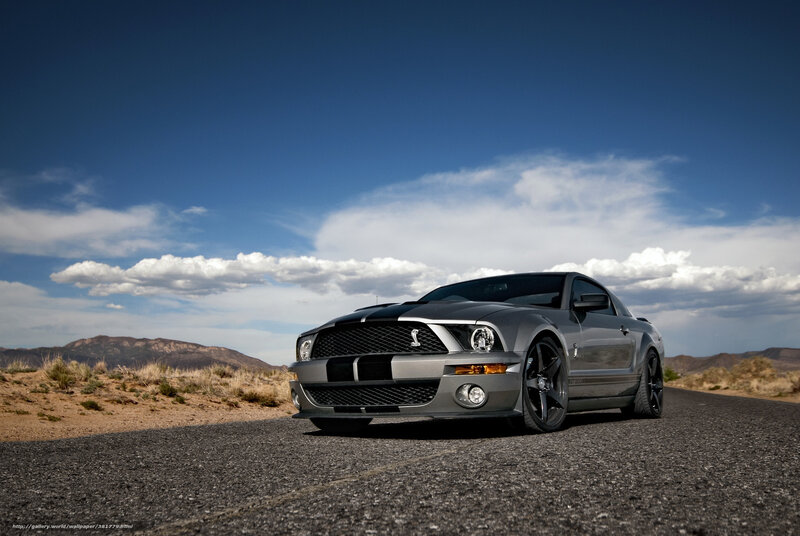 Silver Mustang on desert road
