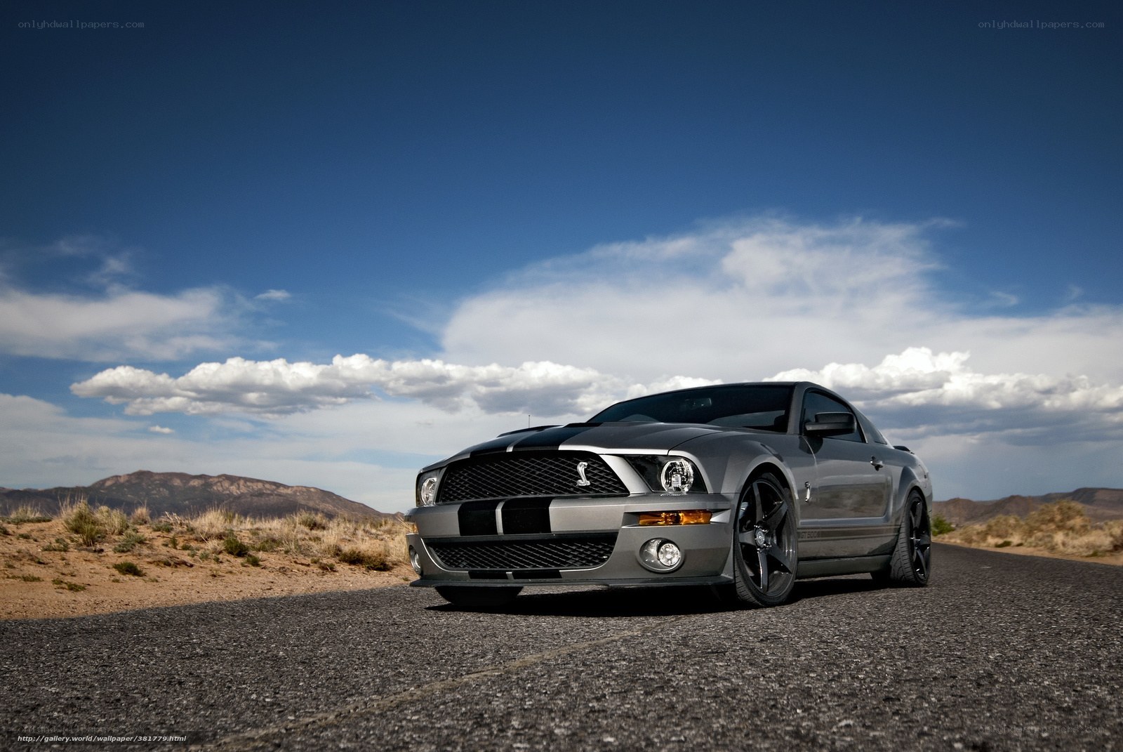Silver Mustang on desert road